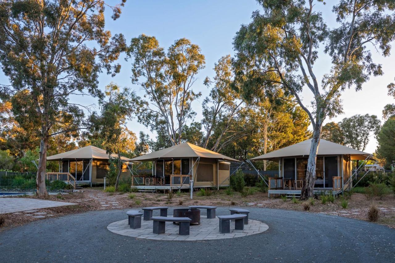 Discovery Parks - Barossa Valley Tanunda Ngoại thất bức ảnh